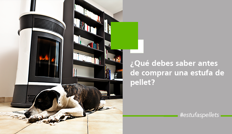 Que se debe saber antes de comprar una estufa de pellets. Ecoforest.