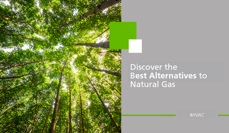 Discover the best alternatives to natural gas. Ecoforest.